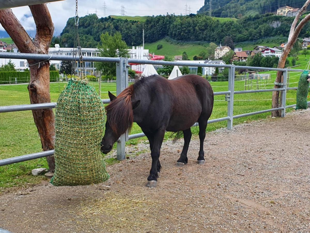 Priv. Apartment Bei Swiss Holiday Park Morschach Luaran gambar