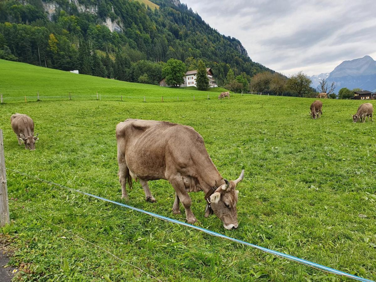 Priv. Apartment Bei Swiss Holiday Park Morschach Luaran gambar